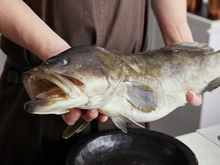 良質な食材は信頼の証。旬の機会を逃さない仕入れの秘密