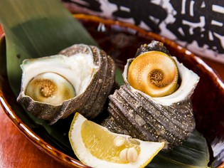 信用の厚い鮮魚店から仕入れる鮮度にこだわった絶品『サザエ』