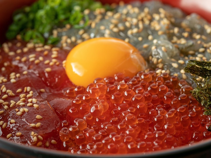 どろめ 熱海 海鮮料理 ヒトサラ どろめ 熱海 海鮮料理 ヒトサラ