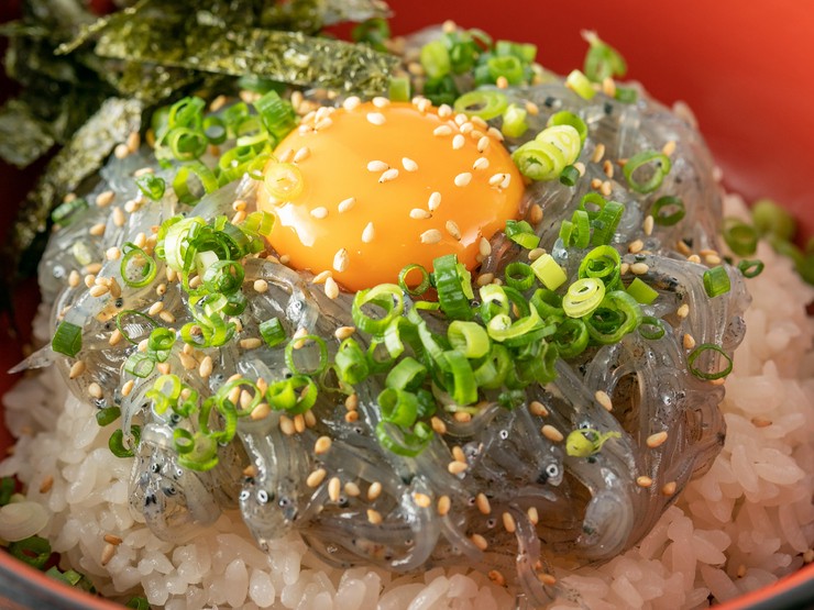 どろめ 熱海 海鮮料理 ヒトサラ どろめ 熱海 海鮮料理 ヒトサラ