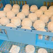 『嘉麻市チーズ工房ciaoのチーズ』