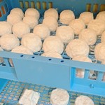 チーズの本場イタリアから来日したシモーネさんのチーズ工房は、福岡県嘉麻市にあります。地元の搾りたての生乳から作るチーズは鮮度もよく、相談してメニューに必要なチーズを作っていただけるのも魅力です。