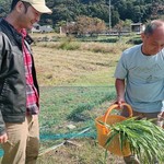 九州は柚子胡椒の発祥の地です。皮をそのまま使用する柚子胡椒には無農薬の柚子が適しています。柚子胡椒工場のオーナーにお願いして収穫させていただく、柚子の香りは格別です。