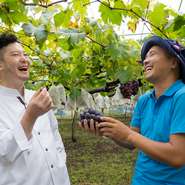 大分県日田市天瀬は昼夜の寒暖差が大きく、果物が糖度を上げる時に必要な気候が備わっておりとても美味しいピオーネが出来ます。生産者の和田さんは完熟し収穫する為に皮の香りで判断する職人技の持ち主です。