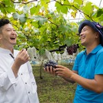 大分県日田市天瀬は昼夜の寒暖差が大きく、果物が糖度を上げる時に必要な気候が備わっておりとても美味しいピオーネが出来ます。生産者の和田さんは完熟し収穫する為に皮の香りで判断する職人技の持ち主です。