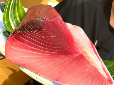天然本鮪　天然活魚料理を食べて夏バテ防止　体力強化！