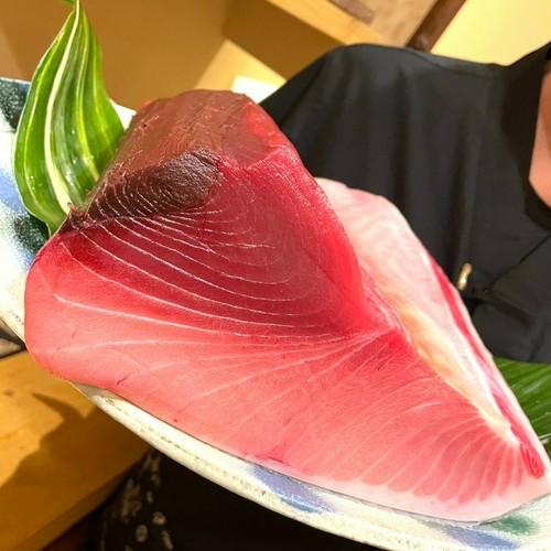 天然の生本鮪