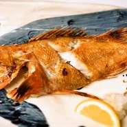 上品でありながらどこか懐かしい「キンキ塩焼き」