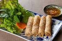 サクサク、ジューシーなビールのおとも『アミアミ揚げ春巻き』