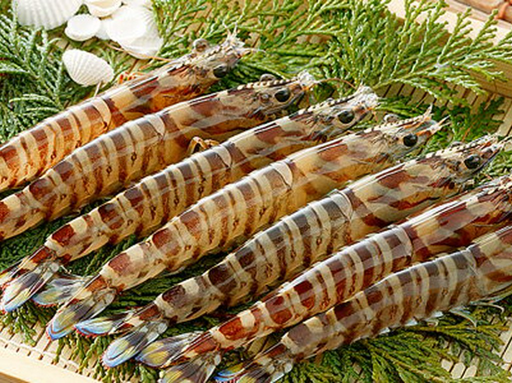 踊り食いをリーズナブルに満喫『車海老　踊り』