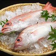 高級魚のど黒です。入荷時に焼物でご提供いたします。13,200円（税込み）コースより