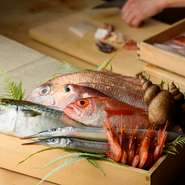 信頼のおける魚屋から旬魚を買い付けています。少量ずつ多種類の海の幸を仕入れるのは、より多くの魚を楽しんでもらいたいとの思いから。石川県からも魚を取り寄せし、季節のおいしさを存分に楽しめます。