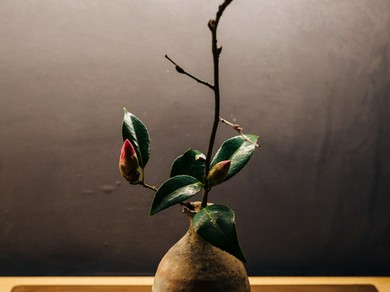 香林坊 片町で女子会におすすめの雰囲気がよくて居心地がいいお店 女子会におすすめのお店 ヒトサラ