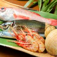 夏場には希少な天然の鮎が常に登場します。魚や貝、イカ、タコなど信頼のおける魚屋から日々買い付け。店主の父が海で釣りあげたばかりの魚介も日々並び、魚料理が特に充実しています。