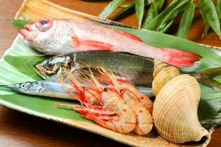 天然の鮎や、その日の釣果も登場する近海で獲れたばかりの海の幸