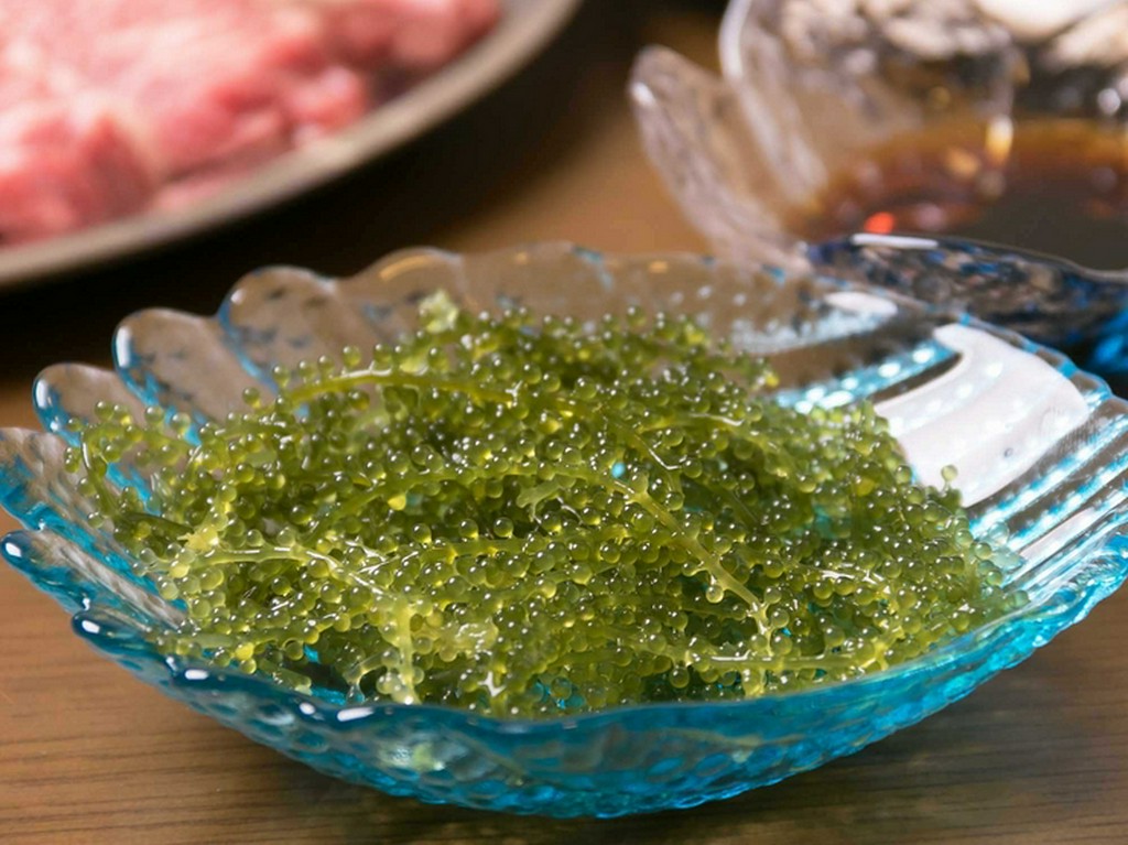 新鮮でサクサク、プチプチな食感。日本酒や焼酎に合う逸品『沖縄直送 海ぶどう』