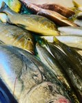 魚匠　海人　紀伊長島鮮魚