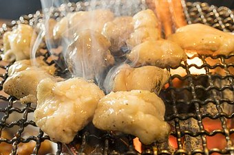 和牛プリプリホルモン