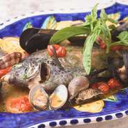 自分で選んだ旬魚を好みの調理法で調理してもらえます。窯焼きやトマト煮込みを選ぶこともできますが、一番人気はアクアパッツァ。魚の旨みをシンプルに楽しめる一皿です。