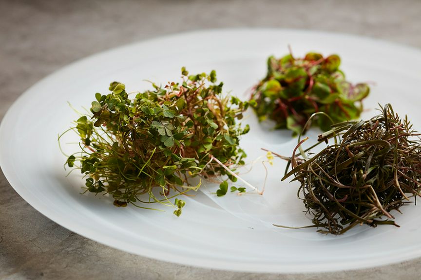 ガルニチュールには、鮮度がよく香り高いハーブや野草を