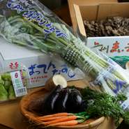 毎日豊洲へ通い、群馬県黒保根町の舞茸、熊本の「ばってんなす」、大阪の「八尾若ごぼう」など、季節ごとに珍しい野菜を厳選。このほか、川上氏のお母様が水戸の畑で愛情込めて育てた新鮮な野菜も毎週届きます。