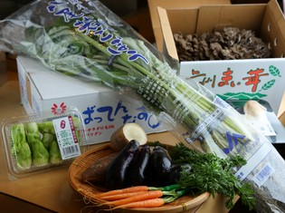豊洲で仕入れる珍しい野菜や、茨城の畑から届く新鮮な旬素材