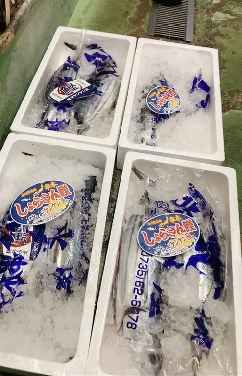 その日、その時季の季節の魚介をたっぷり堪能できる『造り盛合せ』