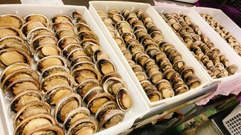 希少性の高い地魚を堪能。上質な味わいに恍惚となる『活赤っぽ煮付け』