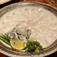 冬の味覚！活けのとらふぐを使っております。
ご予約、ご注文を頂いてから水槽から引き上げ捌きます。
