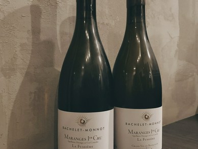 フランス産を中心に有機栽培のブドウを使ったワインをご用意