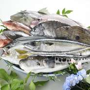 金沢港など、石川県内の各港から届いた鮮度抜群の魚がお店の自慢。すべて県産の魚であることにこだわっているそうです。旬のものを使い、季節を感じられる一皿へと仕立ててくれます。