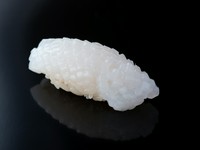 玄界灘のアオリイカを、4～5日寝かせて提供。【一心鮨】創業者である父親が考案したイカの切り込み方を継承した、匠の技が光る握り鮨です。イカの食感を残しつつ、柔らかいのが特長。イカの甘さも感じられます。