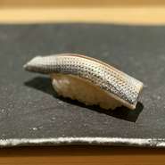 江戸前の仕事が最も活きる、江戸前寿司には欠かせない寿司種。毎朝築地市場で、その日いちばん状態の良いコハダを厳選して仕入れています。天草産、静岡産、江戸前産など、季節により産地も変わります。
ぜひ、旬ごとに移ろうコハダの美味しさをご堪能ください。