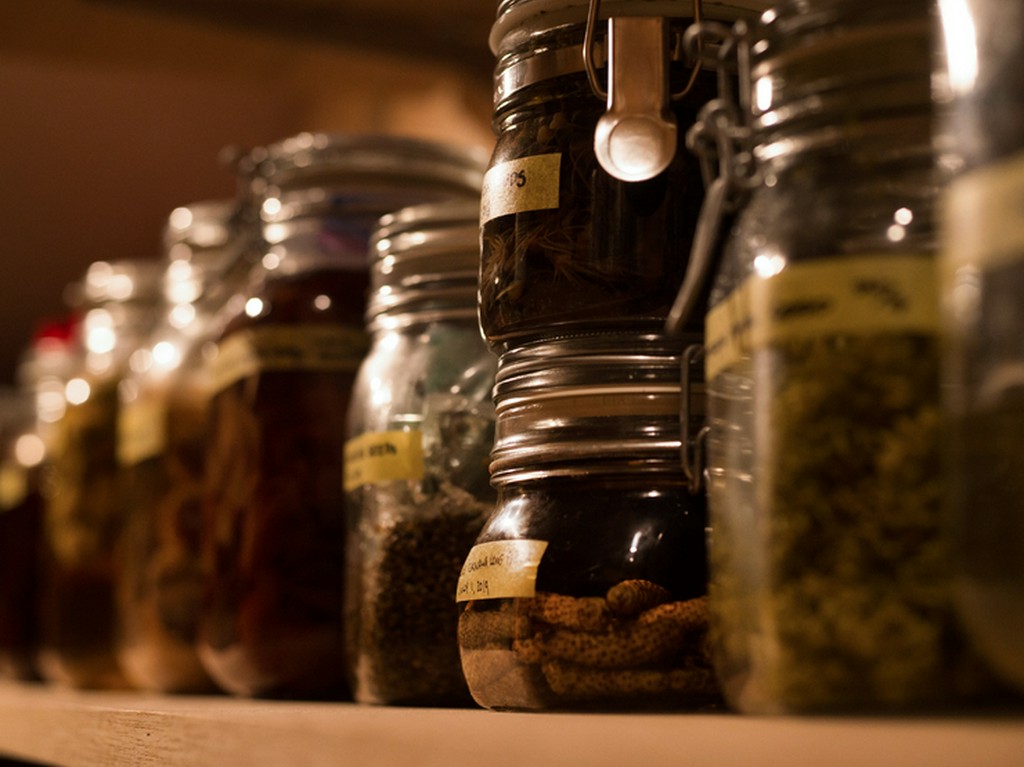 自ら採取した果実や花で発酵食品まで作り出す