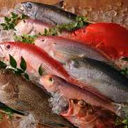 沖縄県産地魚料理（別紙にて魚種・価格記載）