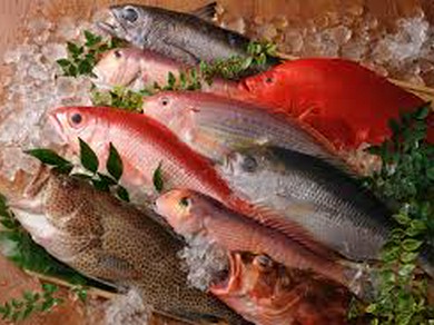 沖縄県産地魚料理（別紙にて魚種・価格記載）