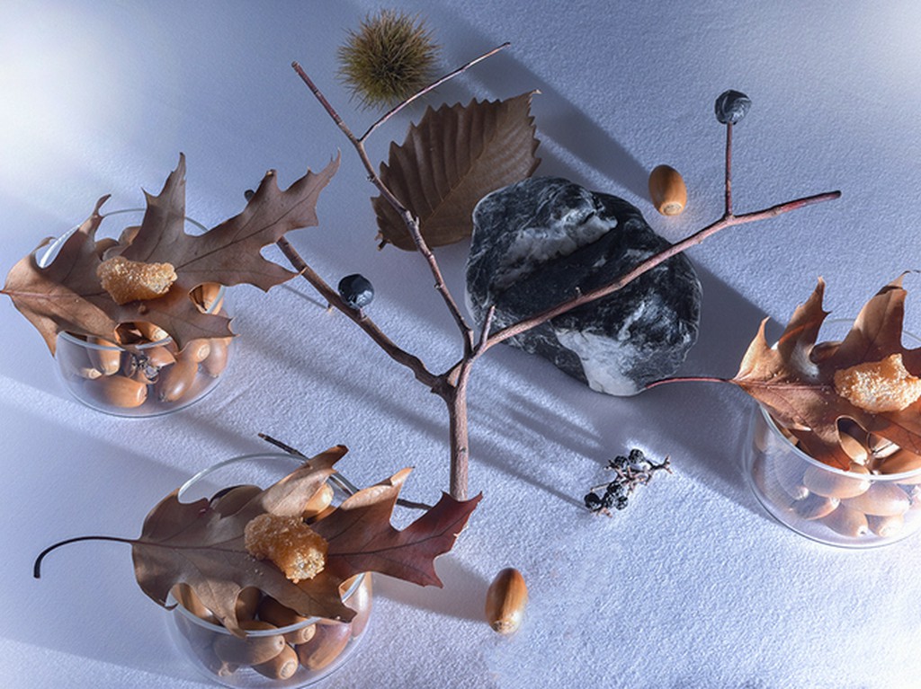 山で見つけた食材は、研究所で安全性や成分をチェック