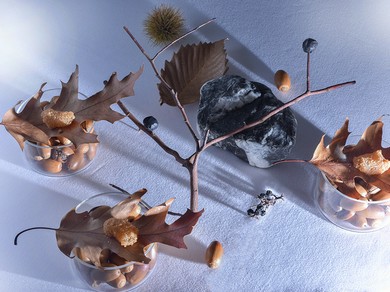 山で見つけた食材は、研究所で安全性や成分をチェック