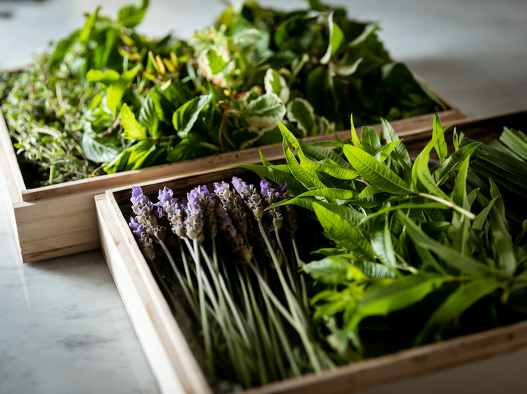 山梨をはじめ日本の食材をシンプルかつ繊細に
