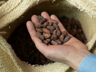 コロンビア産カカオ豆を用い、大人のためのチョコを店で手づくり