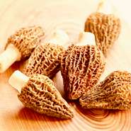 フランスより仕入れております。