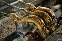 炭火で旨みを閉じ込めた、夏の焼き物の定番『天然あゆ塩焼き』