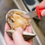 苫小牧の名産と言えばホッキ貝で、美味しいホッキ貝が水揚げされることでも有名。生きたままの貝にオーダーを受けてからナイフを入れて調理するので、丼の上で踊るほど新鮮です。