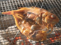北海道の新鮮な海の幸を、まるごと楽しめる”炙り”メニュー。店長おすすめの一皿『キンキ浜干し』