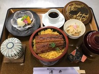 うなぎ丼（1/2匹と錦糸卵）
茶碗蒸し、小鉢、香の物、お吸物、デザート、珈琲

選りすぐりの国産うなぎをご用意しております。