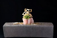 “ピリピリ”とした舌触りが愉しい『新鮮魚介のカルパッチョ 辛子酢味噌シャンパンソース』