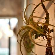 カウンターで一人ゆっくりと過ごされる方や女子会など、女性から特に高い人気を誇るダイニング。ワイン会といった催しも開くことができ、立食は25名まで入れるゆとりの空間です。