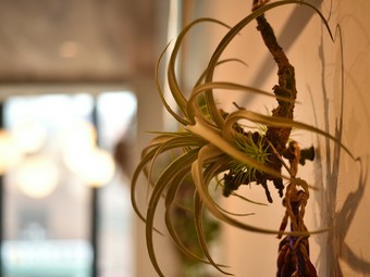 女性一人から貸切まで対応できる、おしゃれでスタイリッシュな店