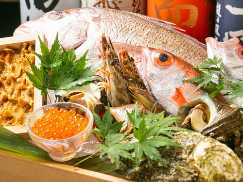 日本酒と共に堪能したい旬の魚介たち