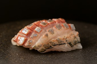 厳選したネタとこだわりのシャリが生み出す『握り1』